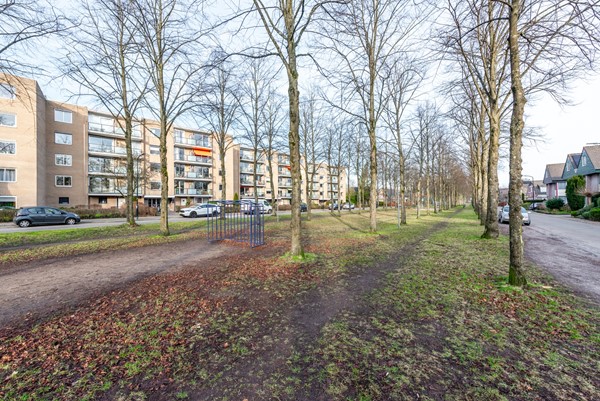 Medium property photo - Koning Lodewijklaan 102, 7314 GJ Apeldoorn
